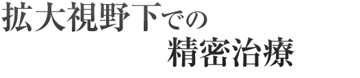 拡大視野下での精密治療