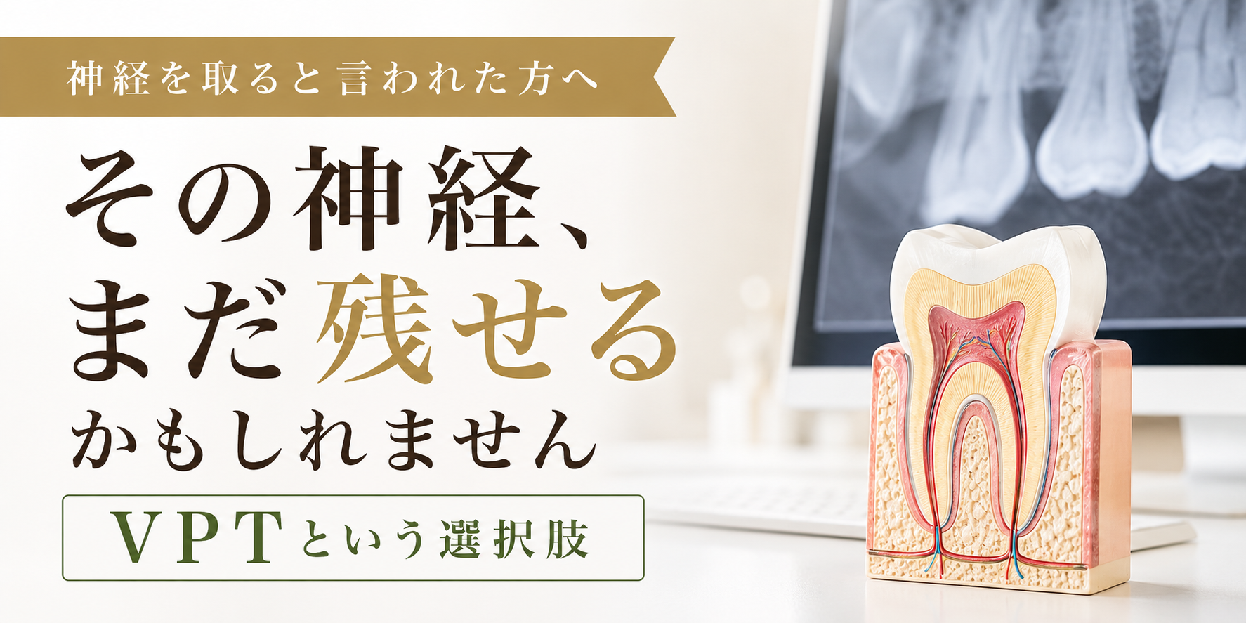 歯の神経を取りたくない方へ、VPTという治療法
